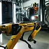 Die autonome Inspektion von Industrieanlagen ist ein wichtiges Einsatzfeld von Roboterhund Spot.