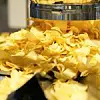 Herstellung Kartoffelchips, Kesselchips Symbolbild Produktionsprozess datengetriebene Steuerung von Scitis.io bei Lorenz