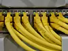 Netzwerkkabel, Industrial Ethernet, wireless Netzwerke