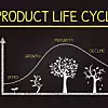 Product Life Cycle