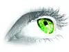 grünes Auge