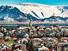 Reykjavík