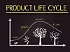 Product Life Cycle