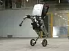 Boston Dynamics Bot