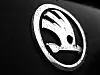 Skoda Logo