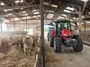 Platz 8: Massey Ferguson mit einem Neuzulassungs-Anteil von 3,9 Prozent (1.146 Stück) bei Traktoren 2024 in Deutschland. Massey Ferguson wurde 1953 gegründet und hat seinen Hauptsitz in Beauvais, Frankreich. Seit 1994 gehört die Marke zum US-amerikanischen Landmaschinenkonzern Agco.