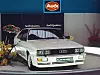 Audi Fünfzylinder Quattro Rallye TT