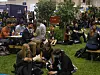Web Summit Austausch
