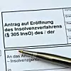 Die Zahl der beantragten Regelinsolvenzen in Deutschland ist nach vorläufigen Angaben des Statistischen Bundesamtes (Destatis) im Dezember 2024 um 13,8 % gegenüber dem Vorjahresmonat gestiegen.