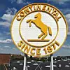 Ein springendes Pferd, das Logo von Continental.