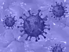 Nahaufnahme des Coronavirus