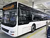Stadtbus MAN