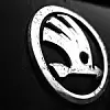 Skoda Logo