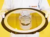 300-Millimeter-Wafer in Bosch-Fabrik in Dresden