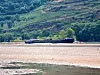 Der Wassermangel verursacht jetzt schon massive wirtschaftliche Schäden. Im Bild: Der Rheinpegel auf Tiefstand.