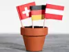 In einem Blumentopf stecken die Fahnen von Deutschland, Österreich und der Schweiz.