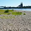 Vielen Flüssen geht das Wasser aus. Das hat auch Auswirkungen auf die Industrie. Das Bild zeigt den Rhein bei Niedrigwasser.