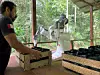 Ranger von Junglekeeper mit Saatgutkiste, die Roboter YuMi befüllt