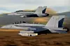 F/A-18 und EA-18G