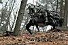 Boston Dynamics Bot